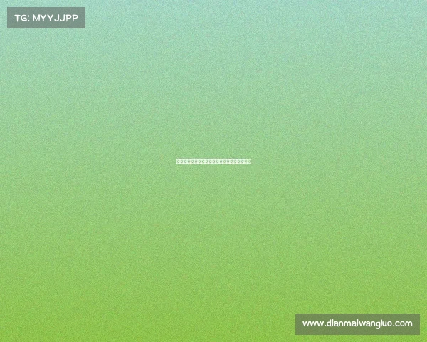 网球比赛现场秩序管理的重要性与实施策略分析